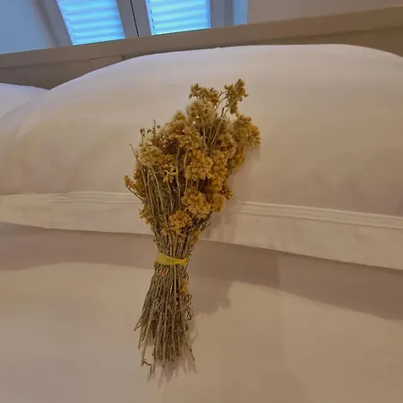 Rovinis Old Town Daire