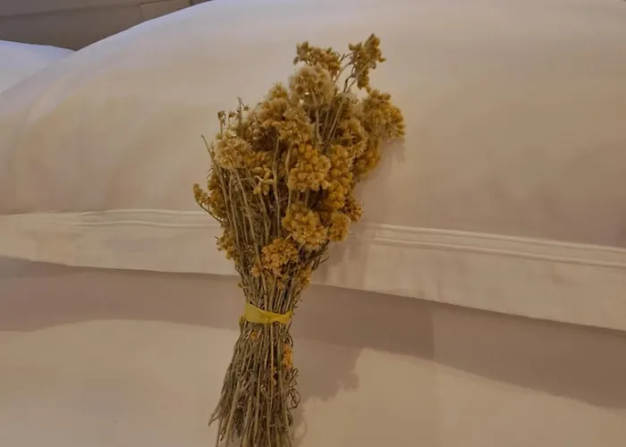 Rovinis Old Town Apartamento